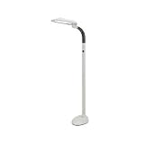 EasyEye Energy Saving Elongated Floor Lamp with Ionizer