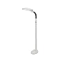 EasyEye Energy Saving Elongated Floor Lamp with Ionizer