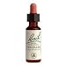 Bach Essence Centaury 20 Milliliters