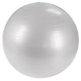 55 cm Silver Burst Resistant Fitness Ball w/Pump
