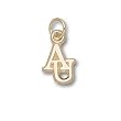 American Univ "Au" 3/8" Charm/Pendant -14K/10K, Stainless Steel or Gold Plated