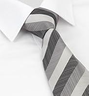 Collezione Pure Silk Striped Tie