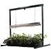 Hydrofarm JSV2 2-Foot Jump Start T5 Grow Light System