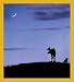 Blueberry Hill (Moose) Bookmark Image