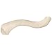 3B Scientific A45/5R Right Clavicle Model