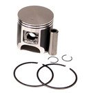Polaris Piston, Standard 3085873