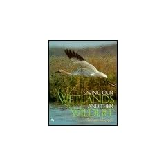 Saving Our Wetlands and Their Wildlife