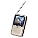 Casio EV-570 Handheld Colour TV 2.5" LCD