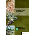 Eulenk�pfe, Seelilien und Flugsaurier: Geo Reisef�hrer zum Kalkstein, Kalk-Abbau und zu den Fossilien des H�nnetals