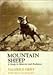 Mountain sheep;: A study in behavior and evolution (Wildlife behavior and ecology)