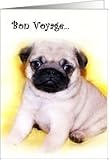 Bon Voyage Pug Puppy Card