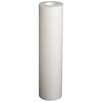 Pentek P25 Sediment Filter Cartridge, 25 Micron