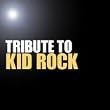 Tribute To Kid Rock