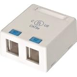 310162WH Keystone Surface Mount Biscuit 2 port