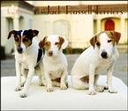 image link - - B002GWWVW0