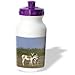 Danita Delimont - Wildlife - Asiatic Wild Ass, Donkey, Rann of Kutch. Gujarat, INDIA-AS10 POX0571 - Pete Oxford - Water Bottles