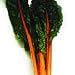 Organic Orange Fantasia Chard - 50 Seeds