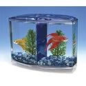 Betta Bowfront Aquarium Kit