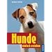 Hunde einfach erziehen