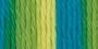Lily Sugar'n Cream Yarn: Ombres, Summer Splash