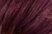 Clip in Hair Extensions - REAL HUMAN HAIR - 70 Grams - 16-22 Inches - 28 Colors Available (22 Inches, Burgundy)