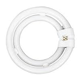 Sea Gull Lighting 97043 2C55 - Double Circline Fluorescent Bulb, 55-Watt