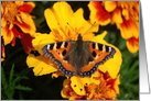 Wings Of Gold Thank You Card