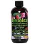 Rejoice Wildberry Fruit Juice - All Natural Fasting Program