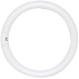 Satco Light Bulbs FC2235 22watts T9 Circuline Fluorescent Clear Energy Star Bulbs
