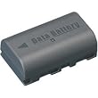 JVC BN-VF808US 730-mAh Rechargeable Data Battery for JVC MiniDV and Everio Camcorders