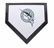 Florida Marlins Mini Home Plate