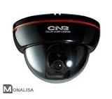 CNB DFL-20S Color High Resolution 'Mona Lisa' Dome Camera