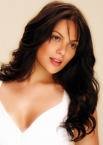 Hair Collection-Italian Remy Human Hair 20" Body Wave Clip in on Extensions -#2 Dark Brown