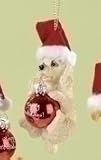 Poodle - 4