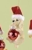 Poodle - 4