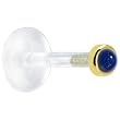 16 Gauge 1/4" Solid 14KT Yellow Gold 2mm Genuine Blue Lapis Lazuli Bioplast Push in Monroe