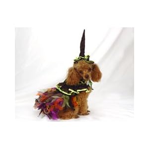 Purple Madri Gras Dog Costume - Katherine's Collection Medieval Hand-made Dog Costume