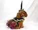 Beautiful Madri Gras Dog Costume - Katherine's Collection Medieval Hand-made Dog Costume (Purple, Large) Party Collar and witch hat included, plus upgraded shipping to expided