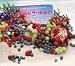 Chewable Dietary Supplemant Chews4Health with fruits, GOJI berries, natural vitamins, minerals, antioxidants, amino acids, enzymes essential fatty acids, fiber phytonutrients, MANGOSTEEN, ACAI, NONI 60/PK