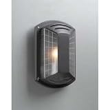 Athena Outdoor Lighting Wall Lamp in Architectural Bronze