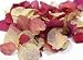Bougainvillea Petals (Lawn & Patio)
