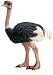 NEW SCHLEICH OSTRICH