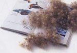 〔フランスベッド〕【アイダーEXTジャカード】羽毛ふとん<br>ダブル 36298(137)00※代金引換・返品不可【smtb-k】【kb】