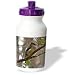 Lee Hiller Photography Hot Springs National Park Wildlife - Cedar Waxwing on Branch - Water Bottles