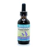 Echinacea/Gldn Rt Blckbry, 1 oz btl ( Multi-Pack)