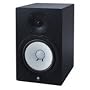 8" Monitor Speaker