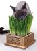 Pet Supplies : Kittys Garden