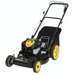 Brute Self-Propelled Mower Briggs & Stratton 6.75 TP (22) #7800477
