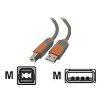 Belkin Usb 2.0 Cable Usba-Usbb - Two 3m Cables Included