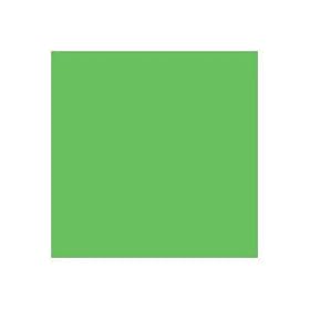 Prism Backdrops 6x10 feet Chromakey Green Muslin Photo Video Backdrop Background